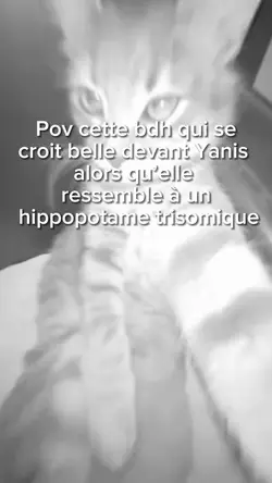 Pov cette bdh