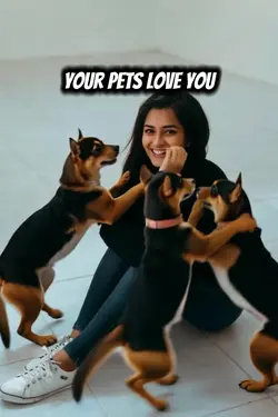 Pets 