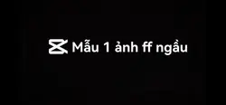 Mẫu 1 ảnh free free