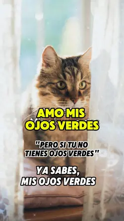 Amo mi lado