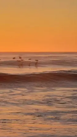 SLOWMO BEACH