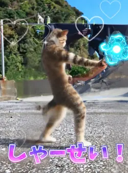 なにかの型