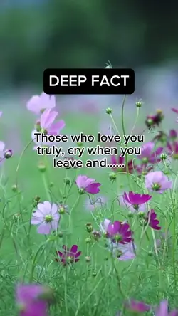 Deep Fact