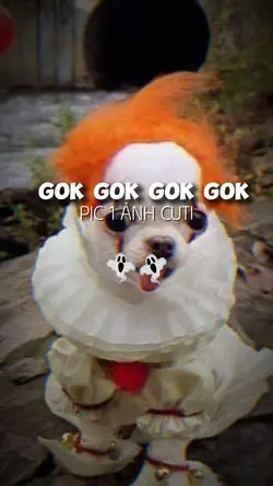 gok gok gok gok 