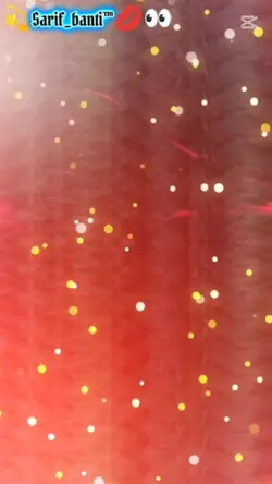 template video 