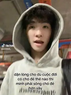 pải z cho tao