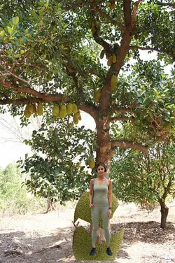 jaca animada