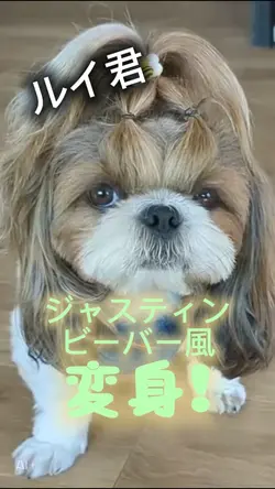 ジャスティン・ビーバー変身