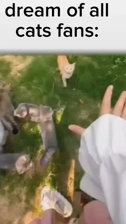 free cat clip