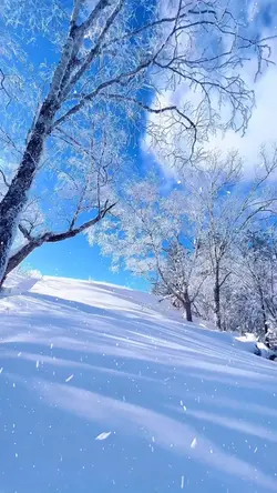 Snow Trend