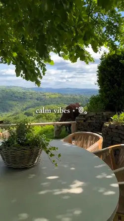calm vibes 