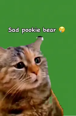 Sad pookie 🐻 