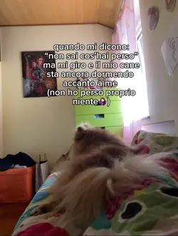 ❤️‍🩹🐶