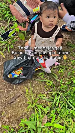 Kebun sawit