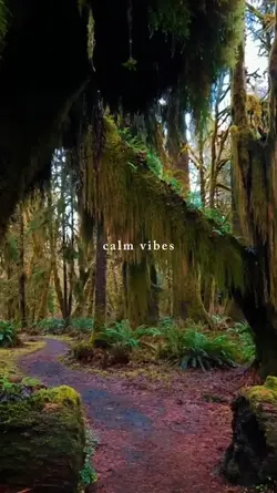 calm  vibes 