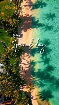 Special Day