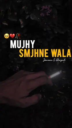 Samjhne Wala-💔🌸