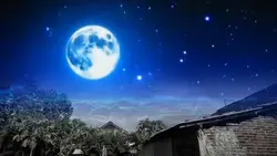 trend langit jj