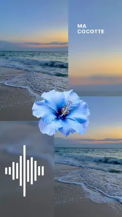 Alicante 