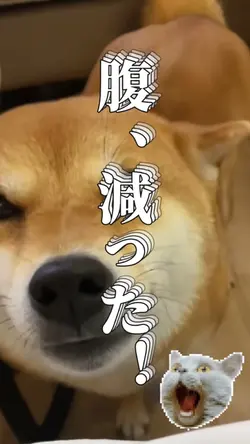 腹、減った！