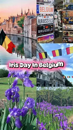 IRIS DAY IN BELGIUM