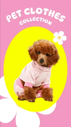 Pet Clothes
