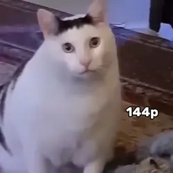 144p to 4k Trend