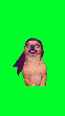 Doggy nasir dancing