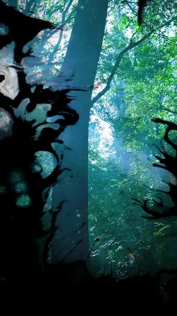 Nature #2