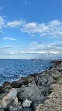 duygusal şablon