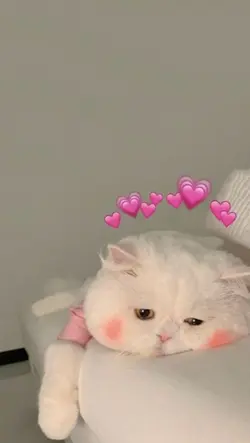 เทพธิดาแห่งรัก🩷