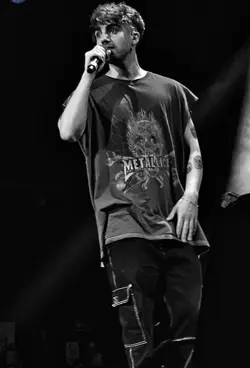 Fedevigevani 