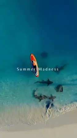 summer Madness 