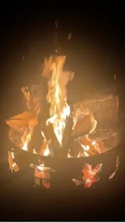 Campfire and s’mores