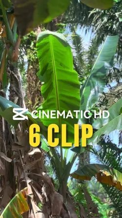 CINEMATIC HD 6 CLIP