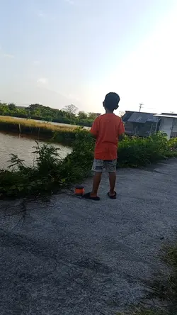 main layang layang