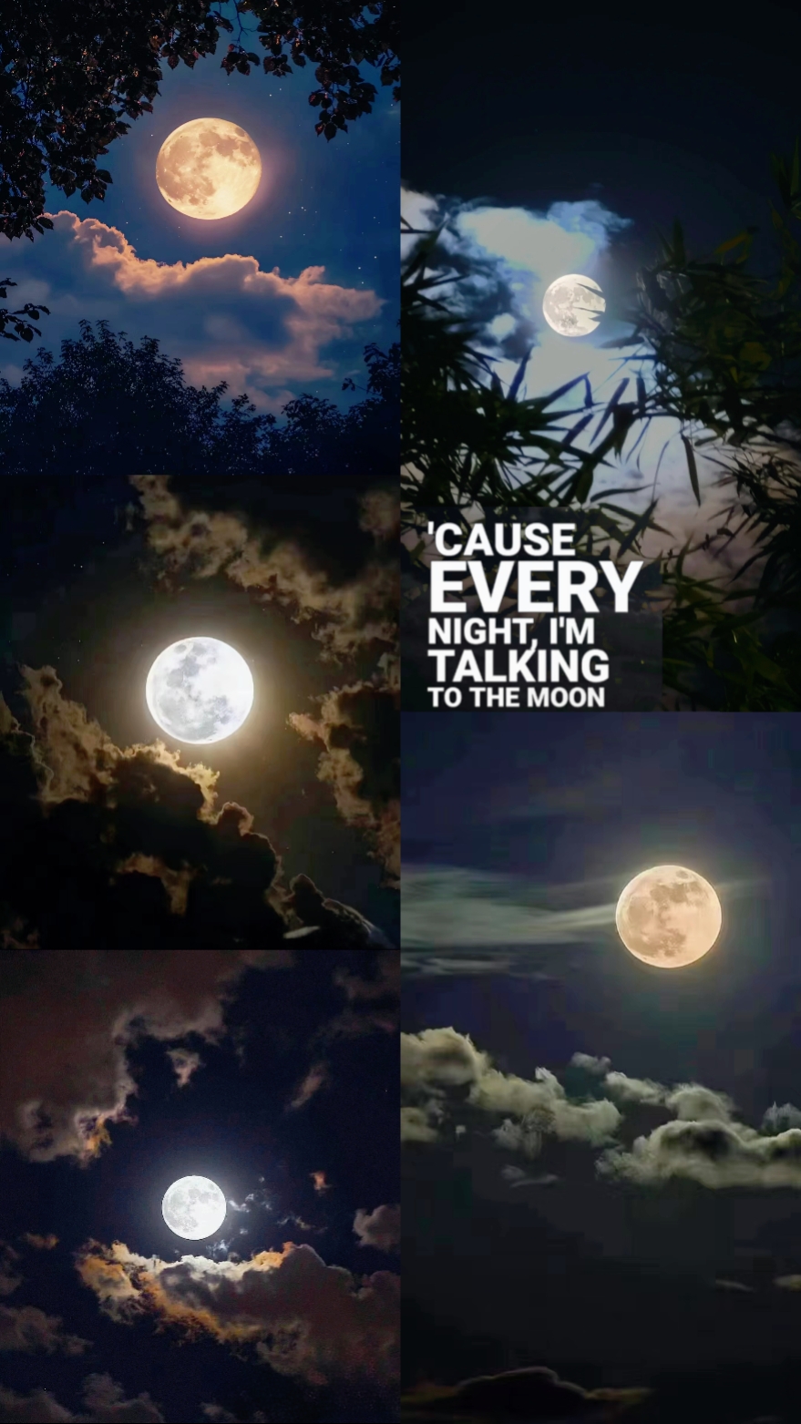 Moon Templates 4 Photo - Pippit