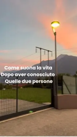 Vi amo