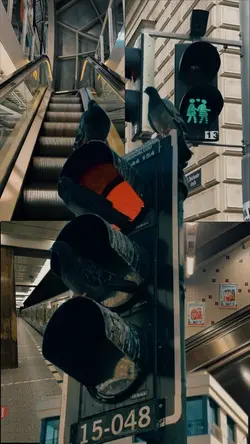 Epic transition |