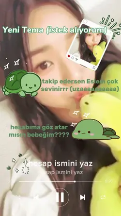 kaplumbağa tema 