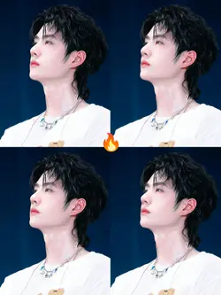 1รูป4ช่อง
