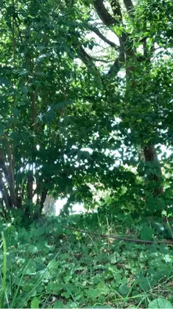 more slow mo’s 