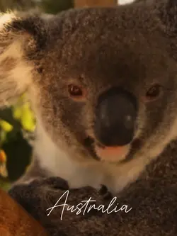 Australia 