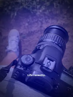 Life recently. 