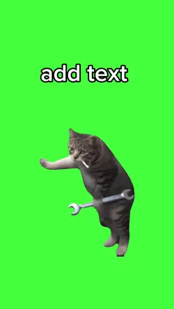 chat mécanicien