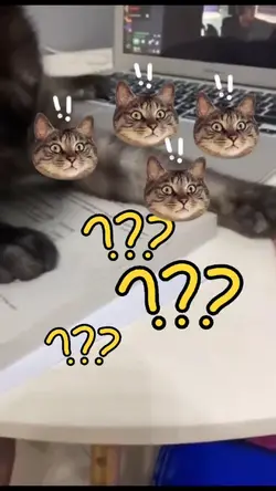 Curiosity