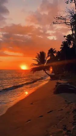 aesthetic sunset