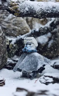 Snowfall