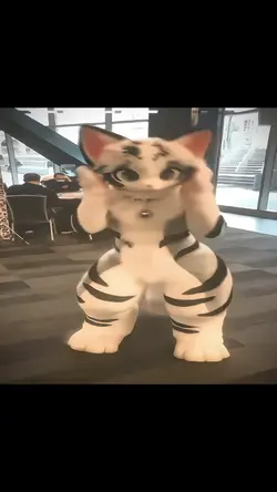 What's your cat?