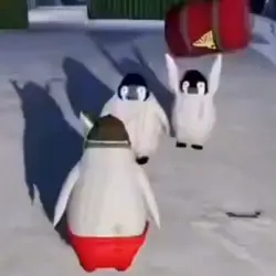 Pinguins